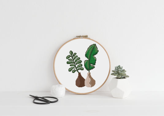 Home Plants