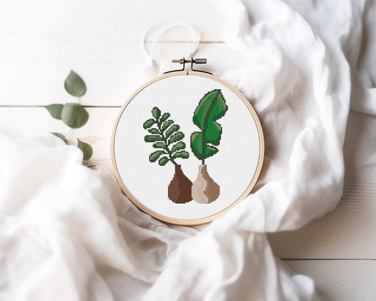 Home Plants